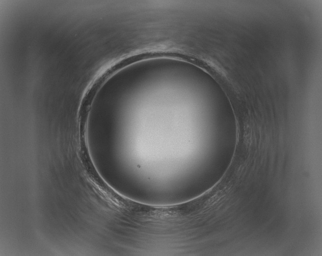 X0000052631270200507011310
