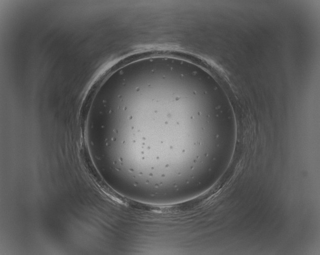 X0000052631271200507011310