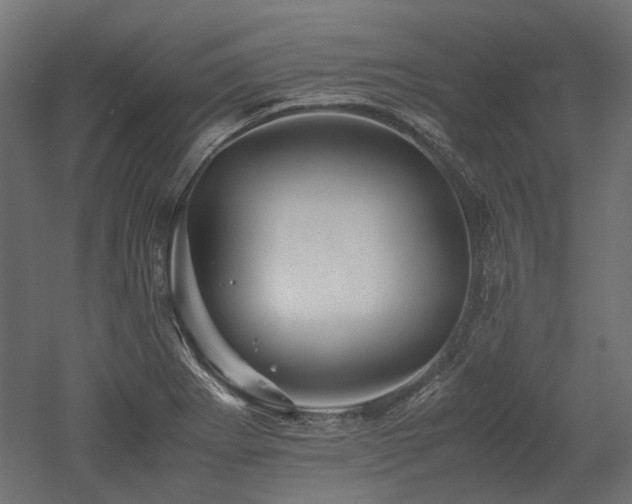 X0000052631273200507011310