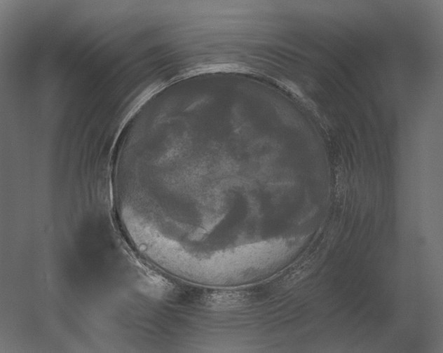 X0000052631274200507011310