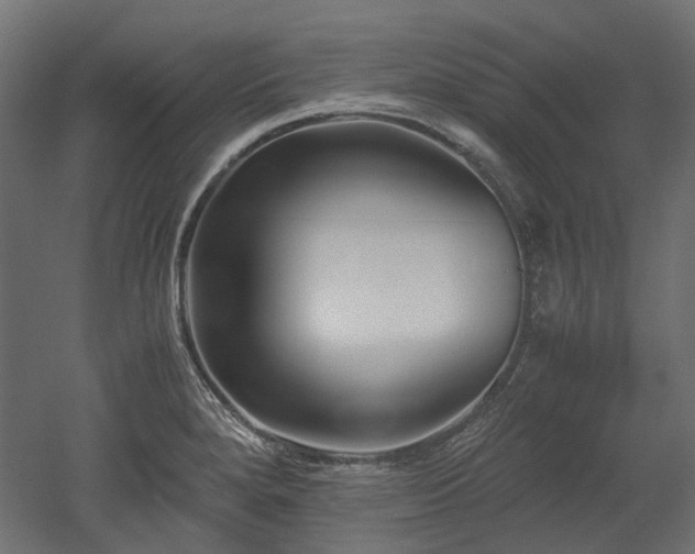 X0000052631280200507011310