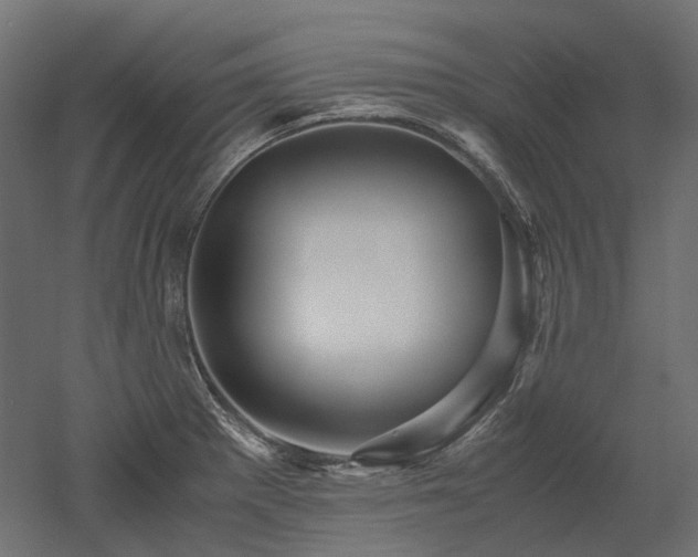 X0000052631281200507011310