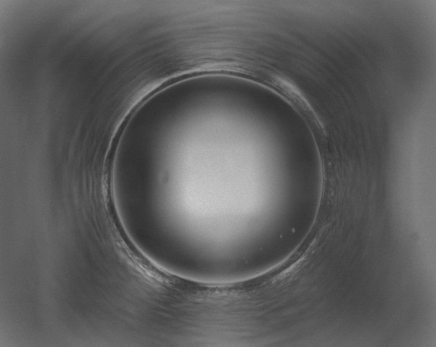 X0000052631284200507011310
