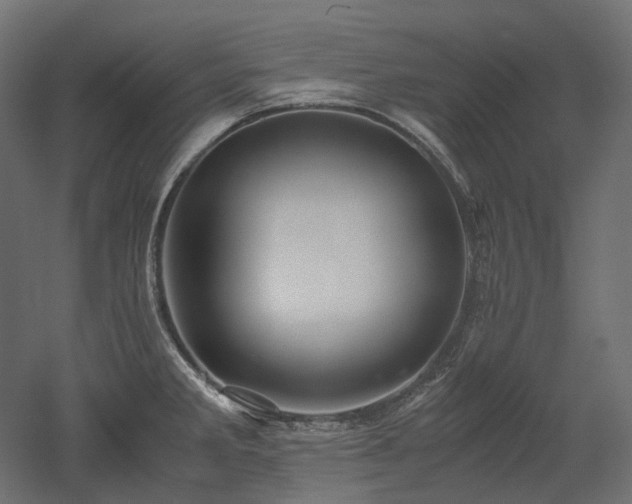 X0000052631285200507011310
