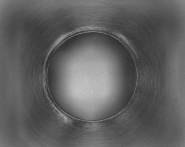 X0000052631286200507011310