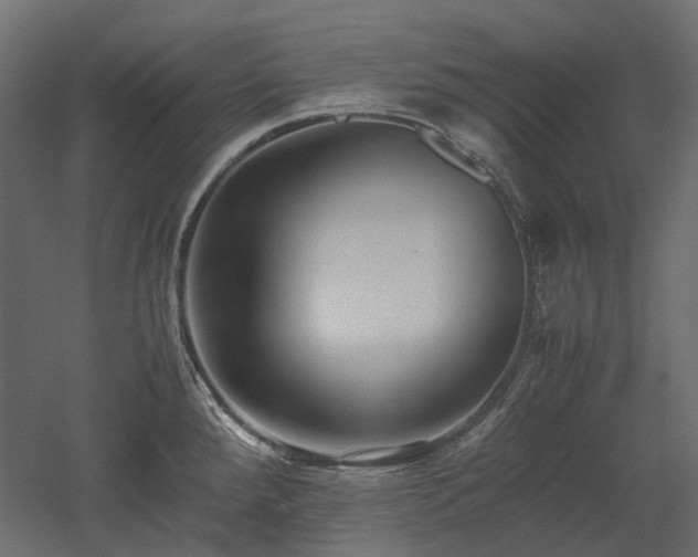 X0000052631288200507011310