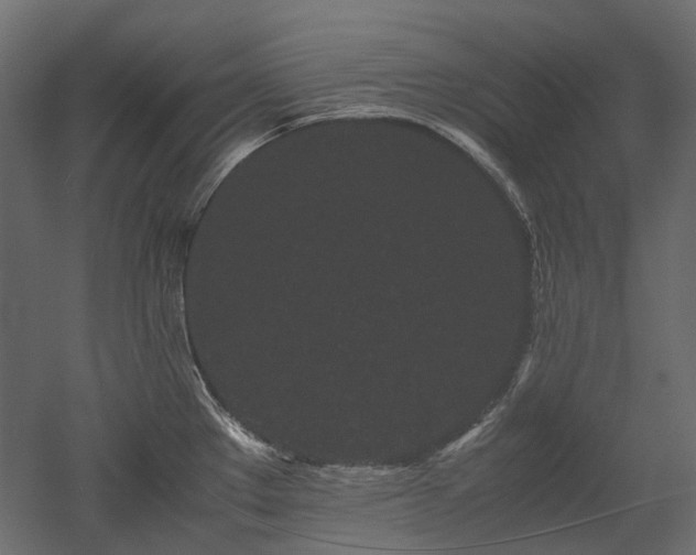 X0000052631289200507011310