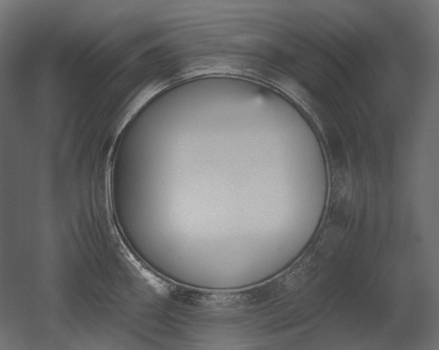 X0000052631290200507011310
