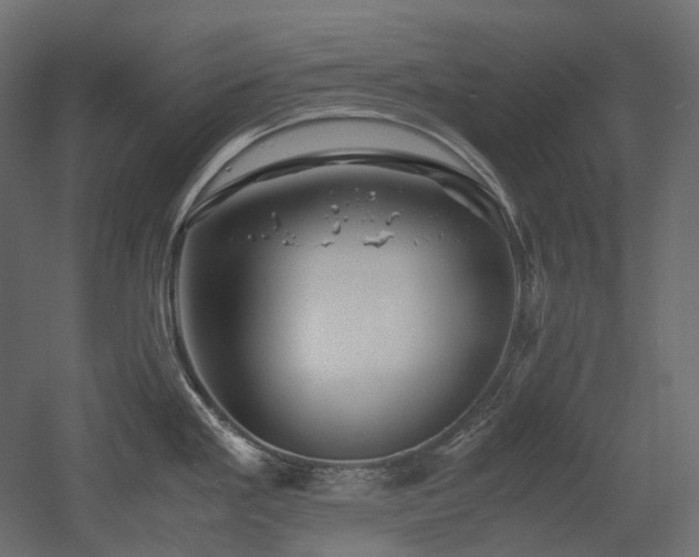 X0000052631293200507011310