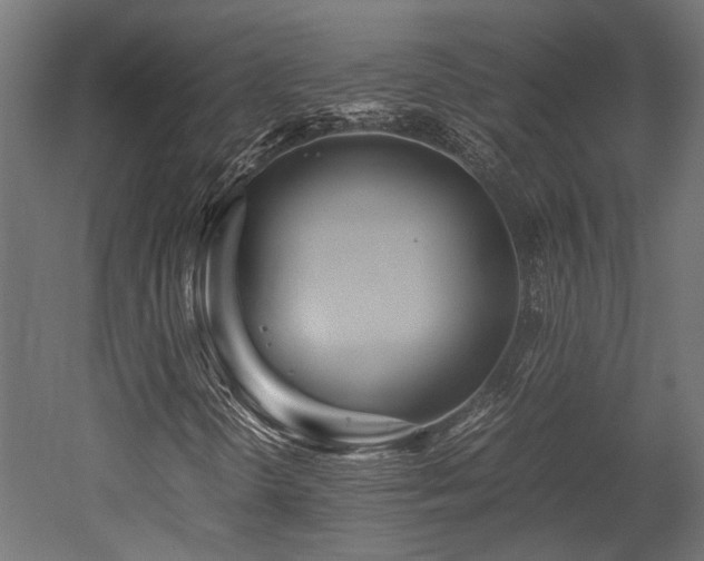 X0000052631298200507011309