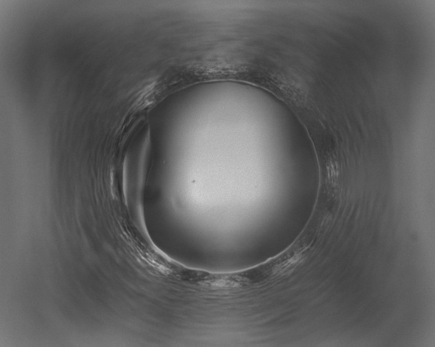 X0000052631300200507011309