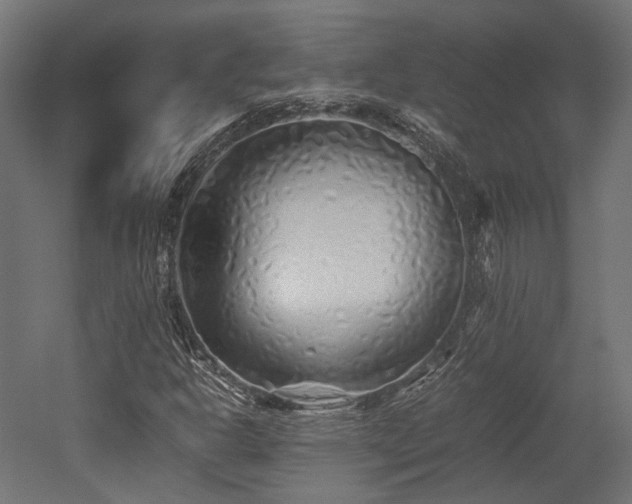 X0000052631302200507011309