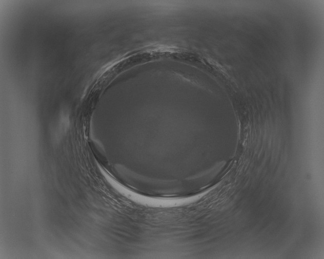 X0000052631303200507011309