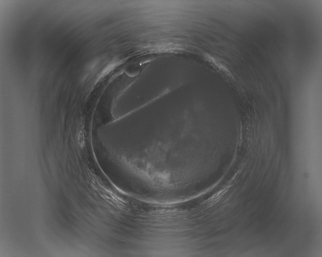 X0000052631306200507011309