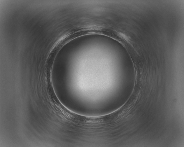 X0000052631307200507011309