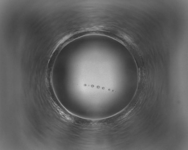 X0000052631308200507011309