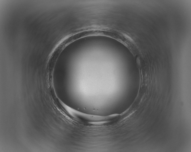 X0000052631310200507011309