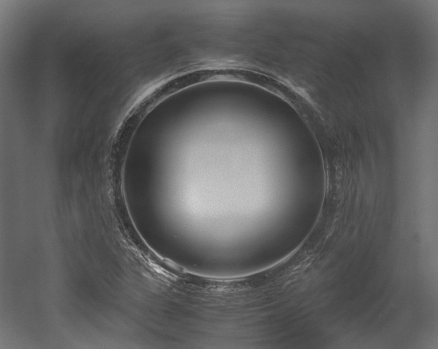 X0000052631311200507011309