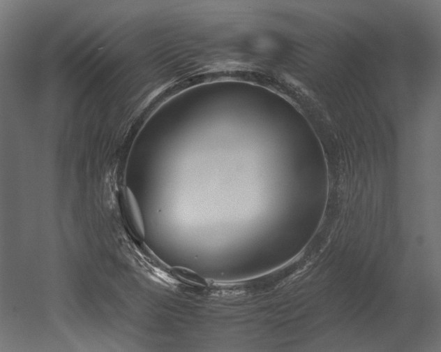 X0000052631313200507011309