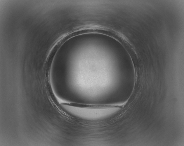 X0000052631318200507011309