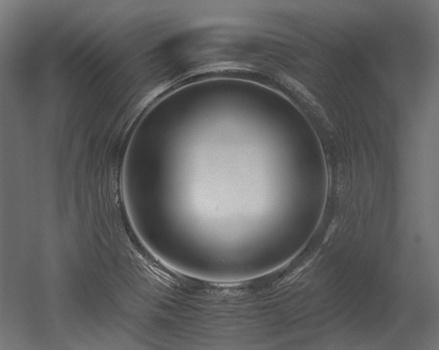 X0000052631321200507011310