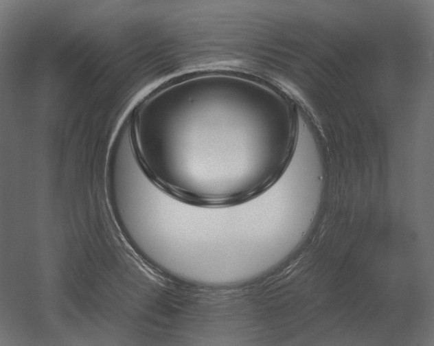 X0000052631324200507011310