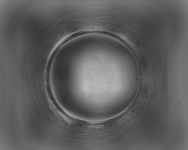 X0000052631325200507011310