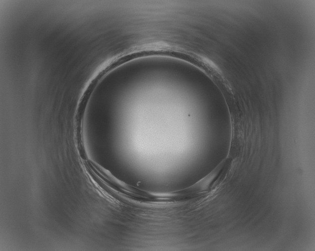 X0000052631326200507011310