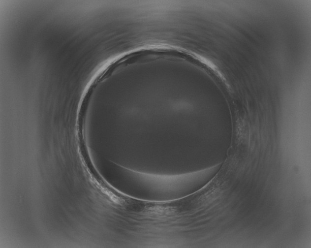 X0000052631327200507011310
