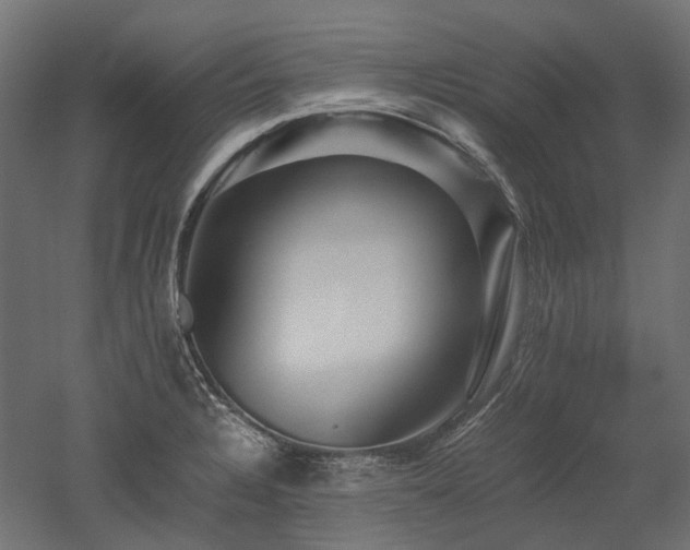 X0000052631328200507011310