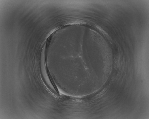 X0000052631329200507011310