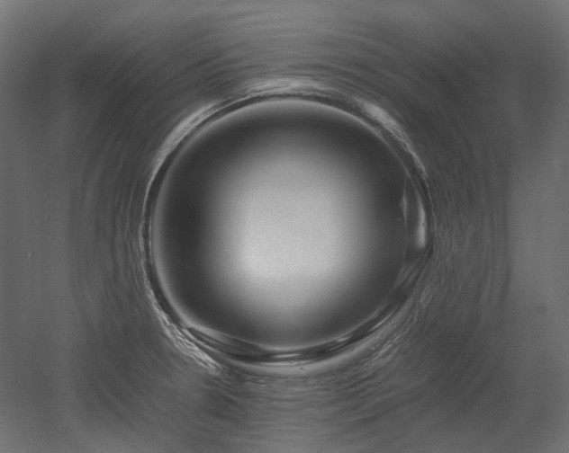 X0000052631330200507011310