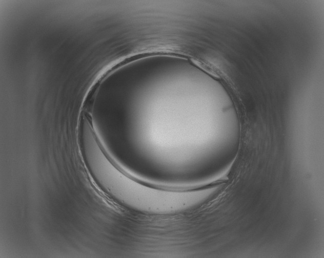 X0000052631332200507011310