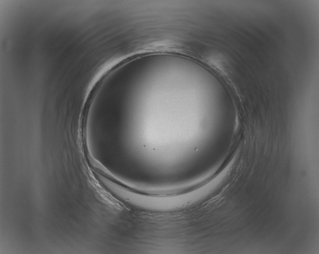 X0000052631336200507011310