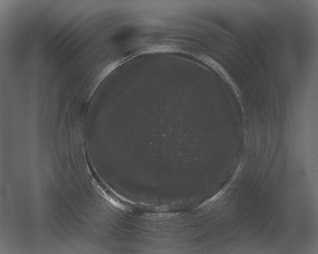 X0000052631337200507011310