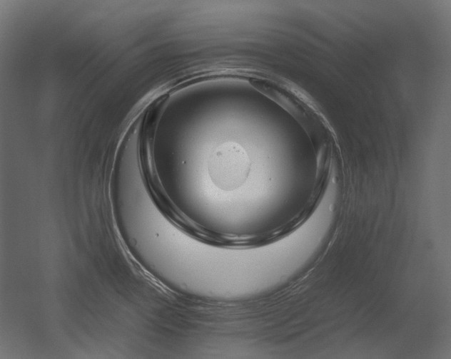 X0000052631338200507011310