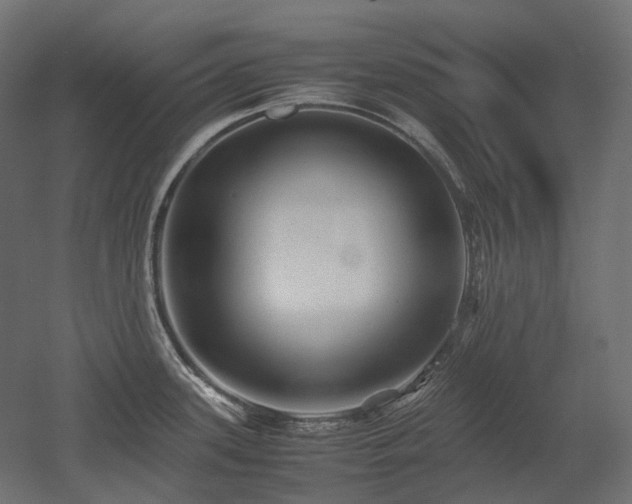 X0000052631339200507011310