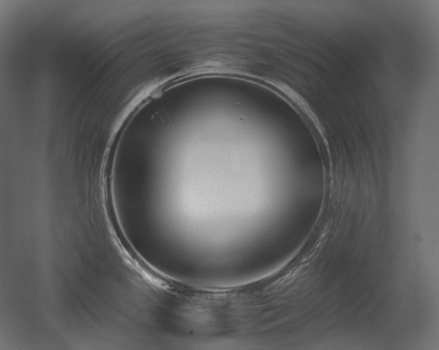 X0000052631341200507011310