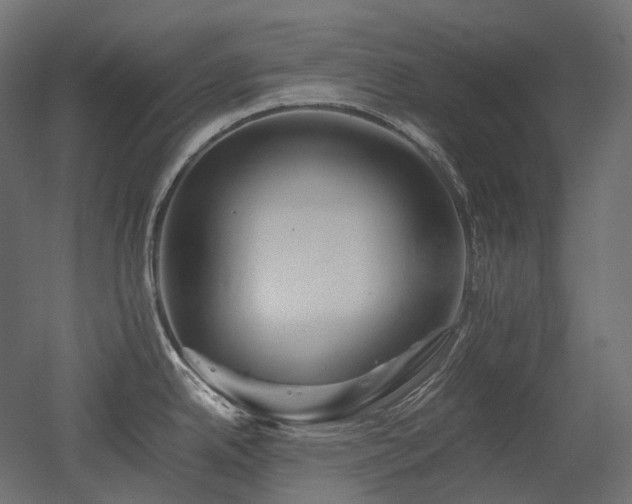 X0000052631342200507011310