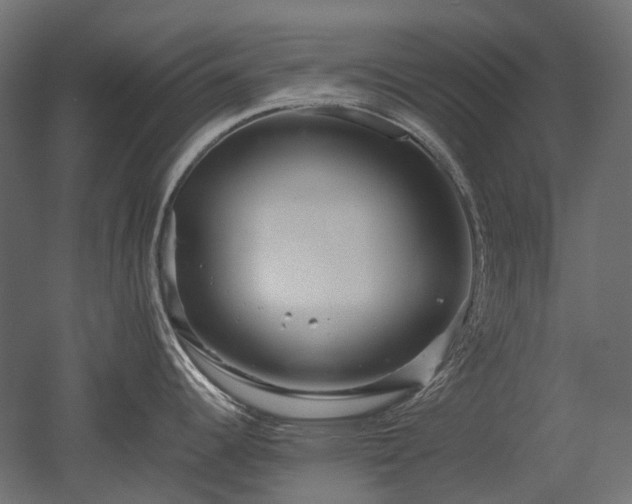 X0000052631344200507011310