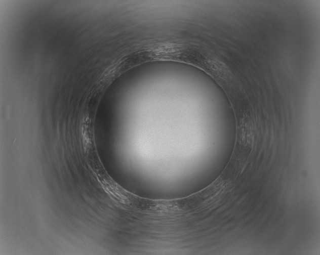X0000052631346200507011309