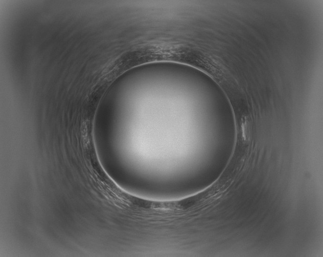 X0000052631347200507011309