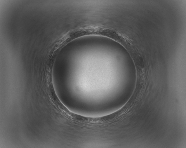 X0000052631349200507011309
