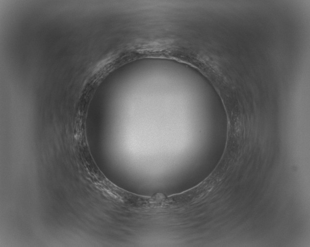X0000052631350200507011309