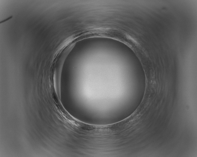 X0000052631354200507011309