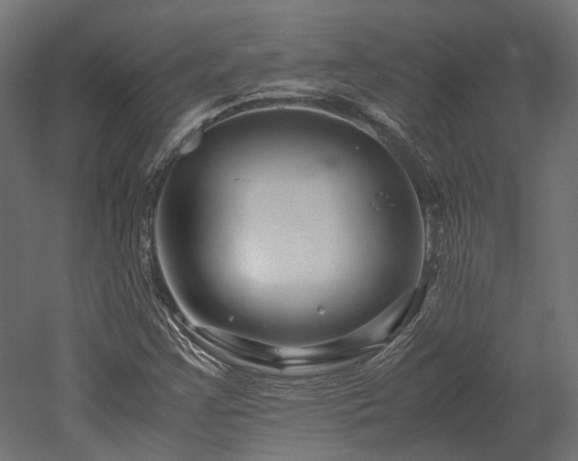 X0000052631355200507011309