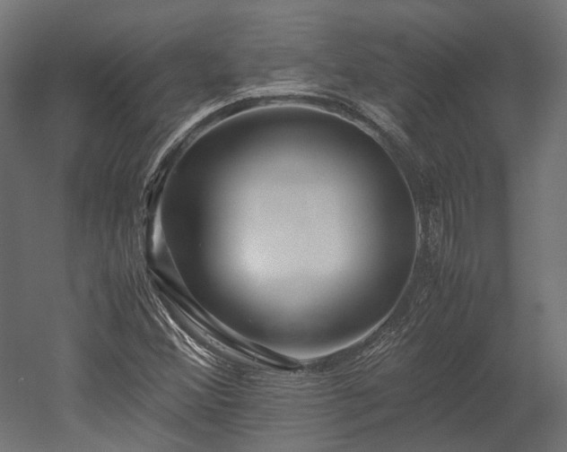 X0000052631356200507011309