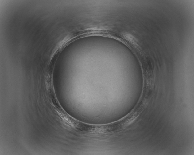 X0000052631357200507011309