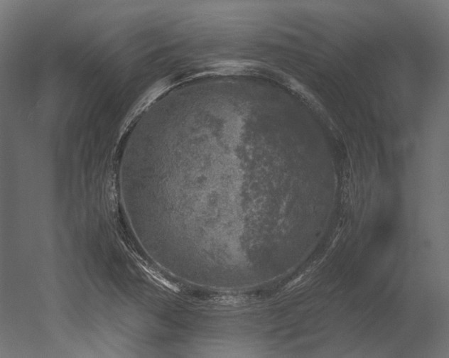 X0000052631362200507011309