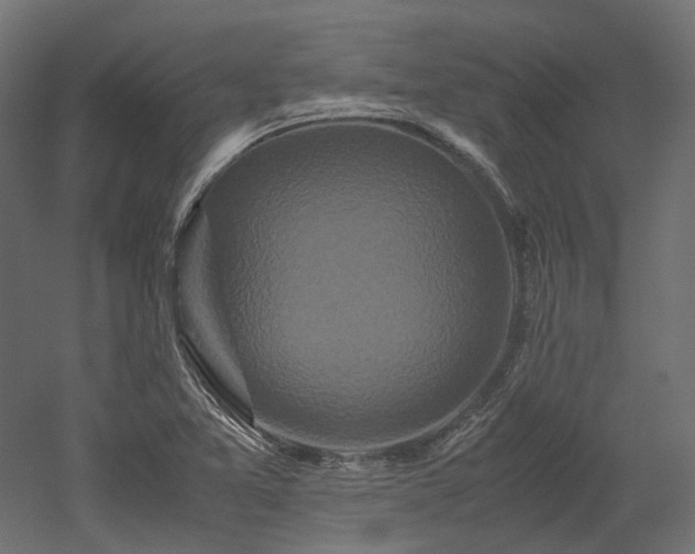X0000052631365200507011309